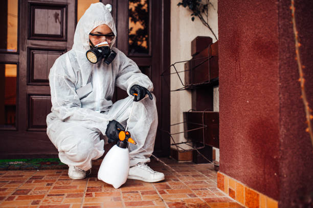 Reliable Cockroach Control contractor in Huntsville, TN by Nex Pest Control