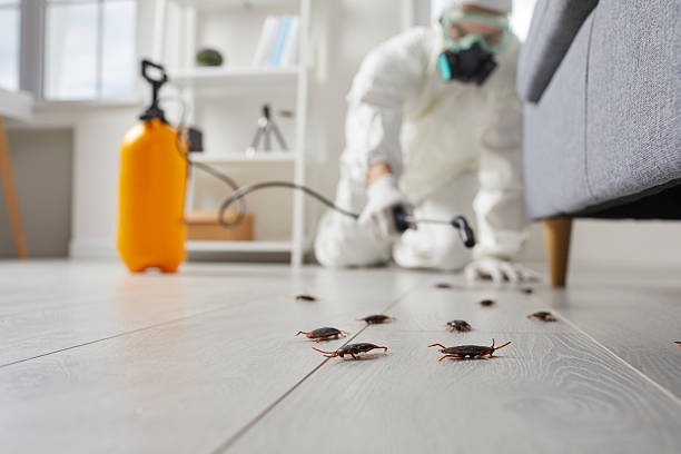 Trusted Termite Control service in Huntsville, TN - Nex Pest Control