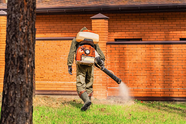 Trusted Ant Control service in Huntsville, TN - Nex Pest Control